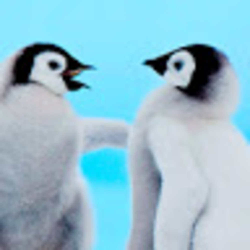 Meet your Posher, Dior